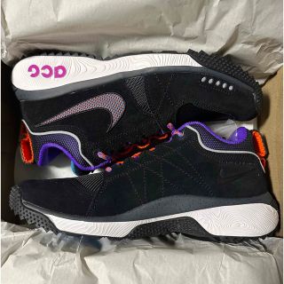 ナイキ(NIKE)のNIKE ACG DOG MOUNTAIN 28cm black (スニーカー)