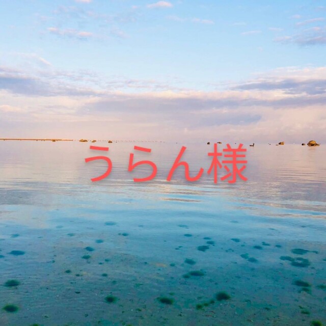 マジョール アクアクレンジング、化粧水 sasebo-jc.or.jp