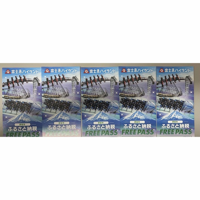 富士急ハイランドフリーパス5枚 有効期間 2023.7.31 - 遊園地/テーマパーク