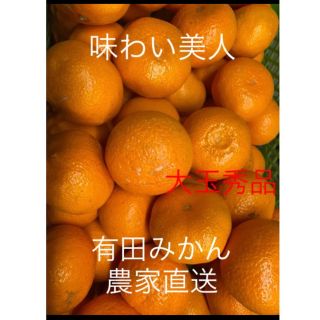 有田みかん生産農家直送🌟味わい美人　大玉箱込み10キロ(フルーツ)