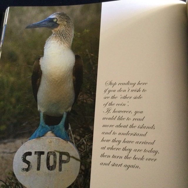 ガラパゴス諸島　写真集　自然環境　動物　生物　洋書　英語　エクアドル　海洋　火山 エンタメ/ホビーの本(洋書)の商品写真