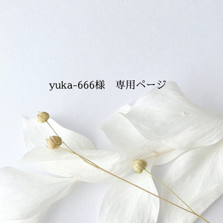 yuka-666様　専用ページ(リング)