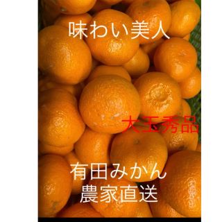 有田みかん生産農家直送🌟味わい美人大玉秀品箱込み10キロ(フルーツ)