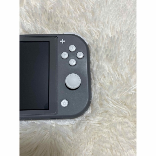 ニンテンドースイッチライト　グレー 3