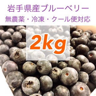 岩手県産ブルーベリー冷凍2kg【無農薬】(フルーツ)