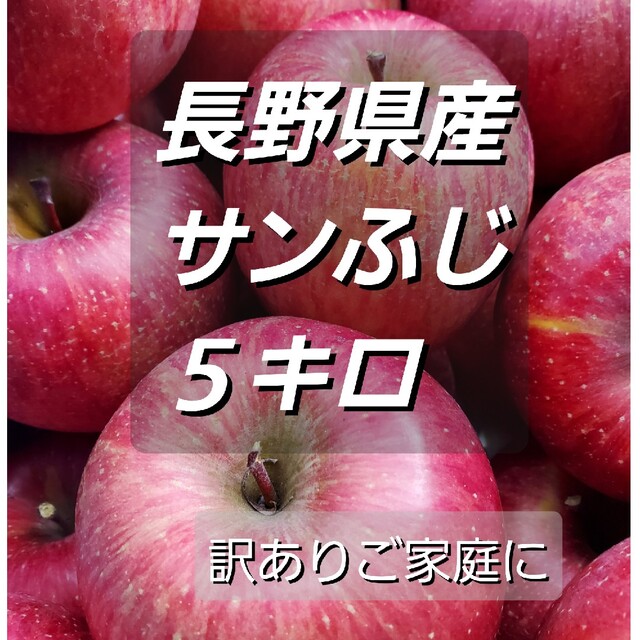 長野県産　【サンふじ】【シナノゴールド】MIX可能！訳あり　５キロ 食品/飲料/酒の食品(フルーツ)の商品写真