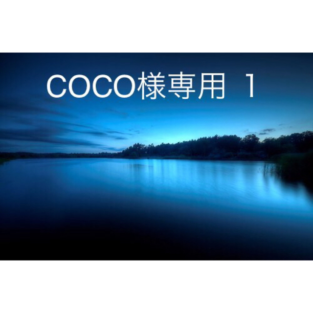 COCO1