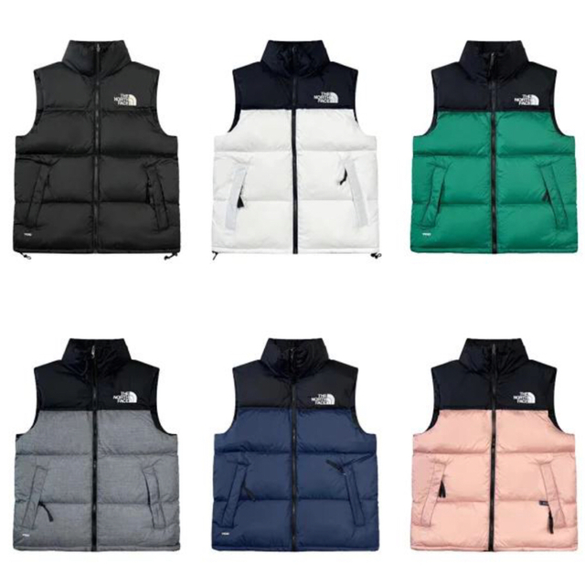 で記念購入 ノースフェイス ダウンベスト NUPTSE 700フィル海外限定