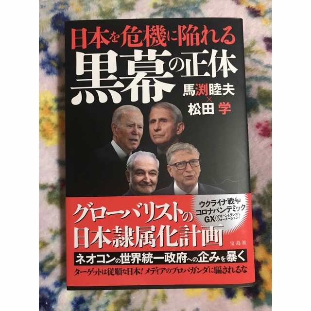 宝島社(タカラジマシャ)の日本を危機に陥れる黒幕の正体 エンタメ/ホビーの本(文学/小説)の商品写真