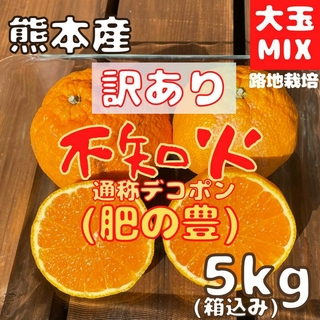 不知火 訳あり 大玉MIX5kg(デコポン)(フルーツ)