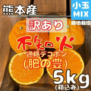 不知火 訳あり 小玉MIX 5kg(デコポン)(フルーツ)