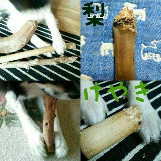 ☆235.犬用国産梨の木、枝、おもちゃ超小型犬向け?歯固め、かじり木
