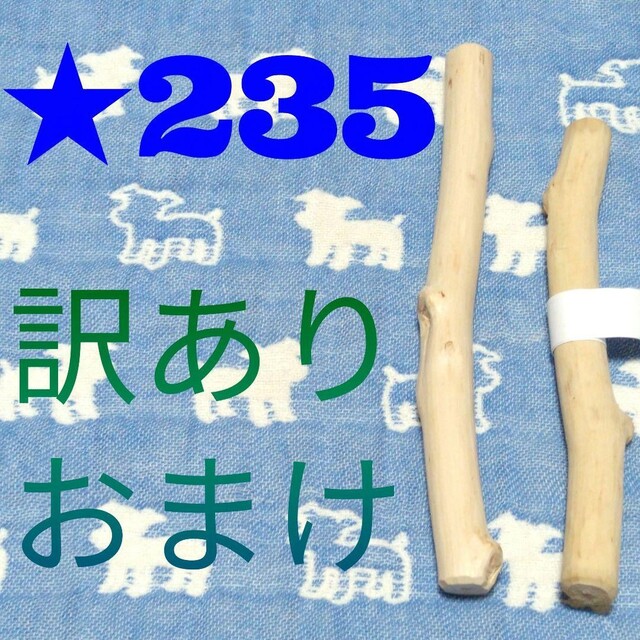 ☆235.犬用国産梨の木、枝、おもちゃ超小型犬向け?歯固め、かじり木