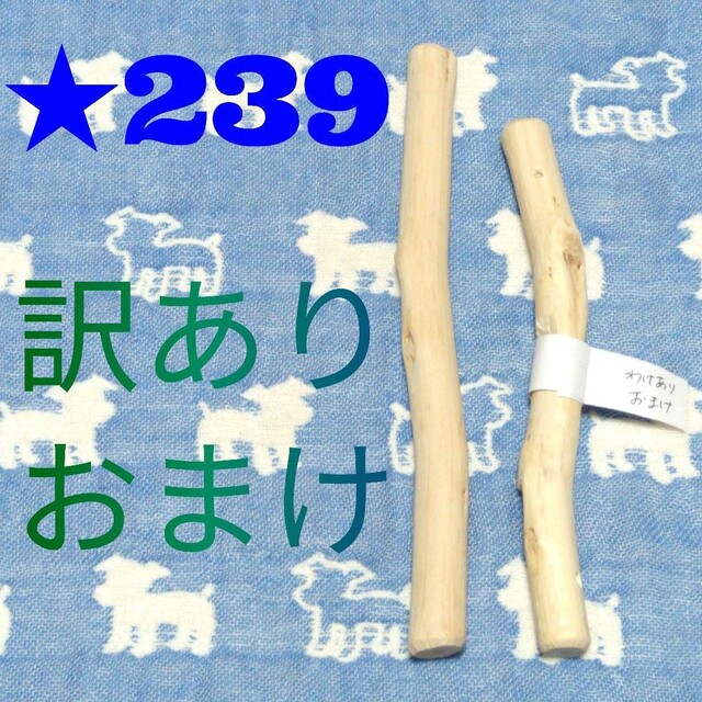 た.犬用おもちゃ、超小型犬国産枝おもちゃ、歯固め、かじり木梨の木セット♬