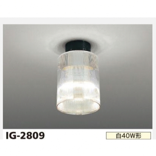 トウシバ(東芝)の東芝白熱灯器具　IG-2809(天井照明)