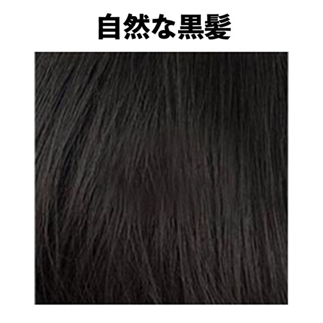 フルウィッグ 男装 コスプレ ショート ブラック 黒 自然 黒髪 ネット付き レディースのウィッグ/エクステ(ショートストレート)の商品写真