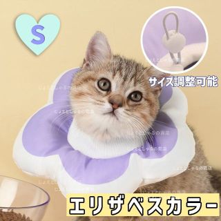 【パープルS】ソフト エリザベスカラー 術後ウェア 猫犬 皮膚病 雄雌 撥水防水(猫)