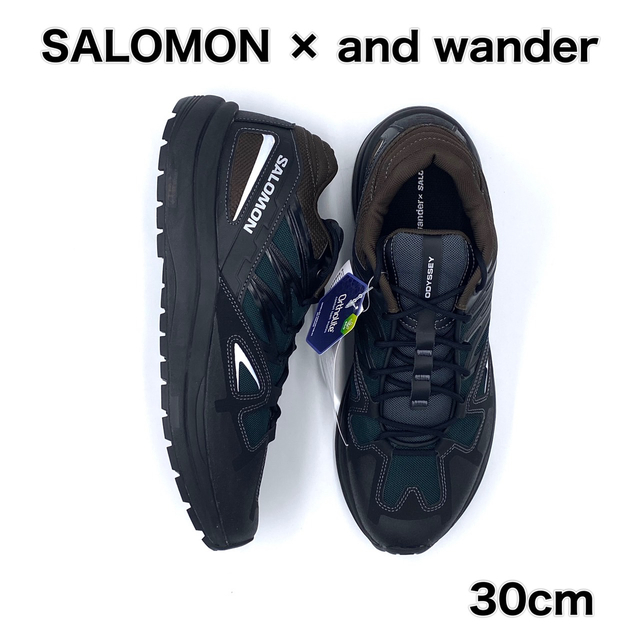 30cm SALOMON and wander コラボモデル オデッセイ