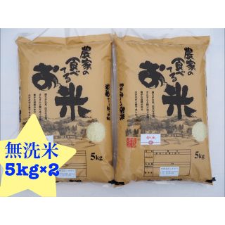 あっぷる様専用　農家の食べてるお米　無洗米　10kg 令和四年産(米/穀物)