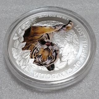 カンボジア 2023 絶滅危惧種 インドシナトラ 銀貨 カラー BU 完全未
