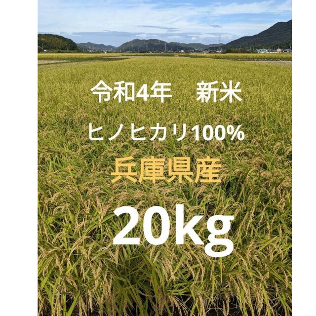 食品新米20kg　ヒノヒカリ100％　令和4年　兵庫県産