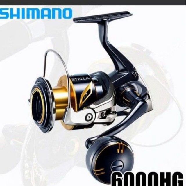 シマノ20  ステラSW 6000HG (2020年追加モデル)