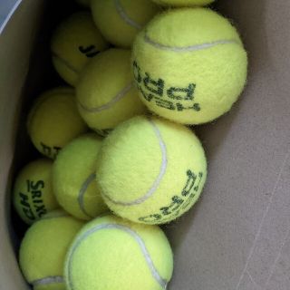 テニスボール　10個(ボール)