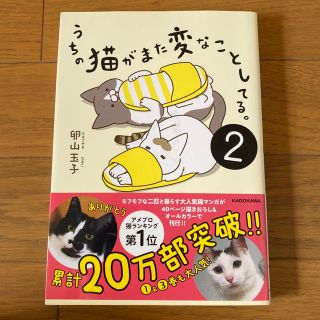 うちの猫がまた変なことしてる。 ２(その他)