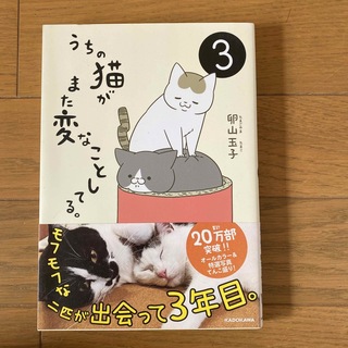 うちの猫がまた変なことしてる。 ３(文学/小説)