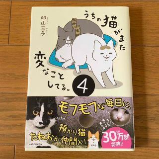 うちの猫がまた変なことしてる。 ４と5(文学/小説)