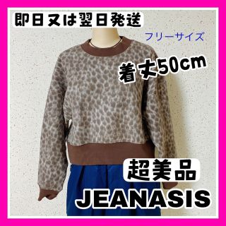 ジーナシス(JEANASIS)の【超美品】ジーナシス　レオパード　ヒョウ柄　ショート丈ニット(ニット/セーター)