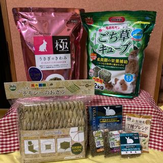 うさぎ用品・小動物用品セット☆試食品のおまけ付き☆うさぎ・モルモット・チンチラ(小動物)