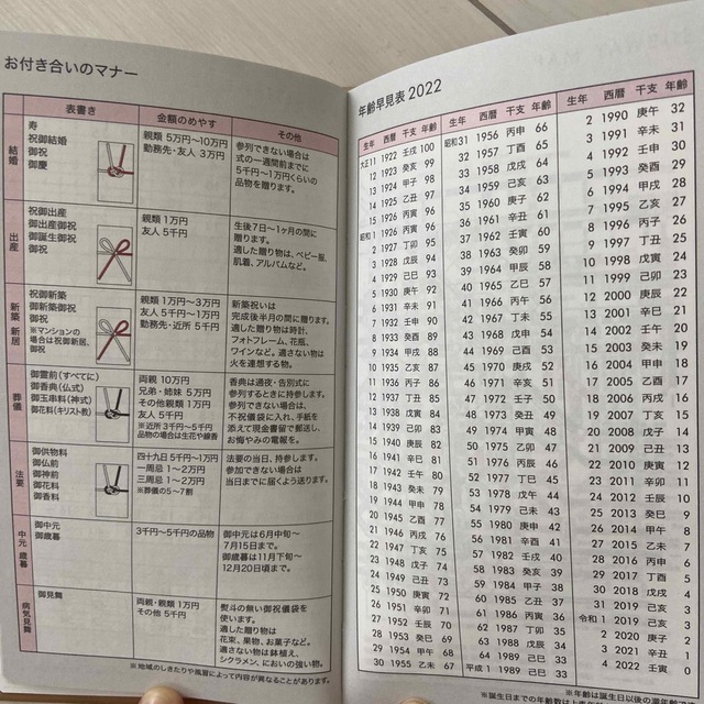 ALBION(アルビオン)のアルビオン　2022 スケジュール帳 インテリア/住まい/日用品の文房具(カレンダー/スケジュール)の商品写真