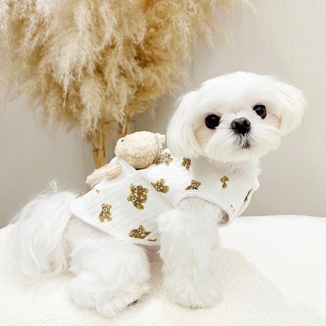 犬服　ペット服　ドッグウェア　可愛い　オシャレ　犬用品　トップス　ハーネス その他のペット用品(犬)の商品写真