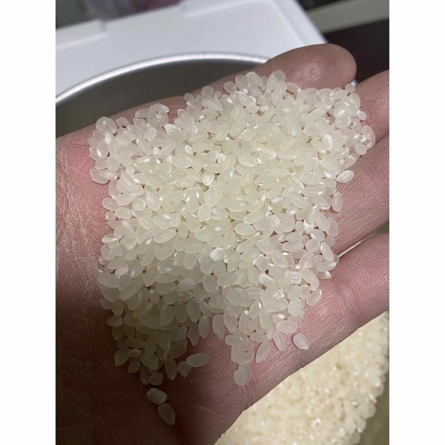 精米無料！た山形県産令和4年産はえぬき30キロ玄米精米可能　30kg　米/穀物