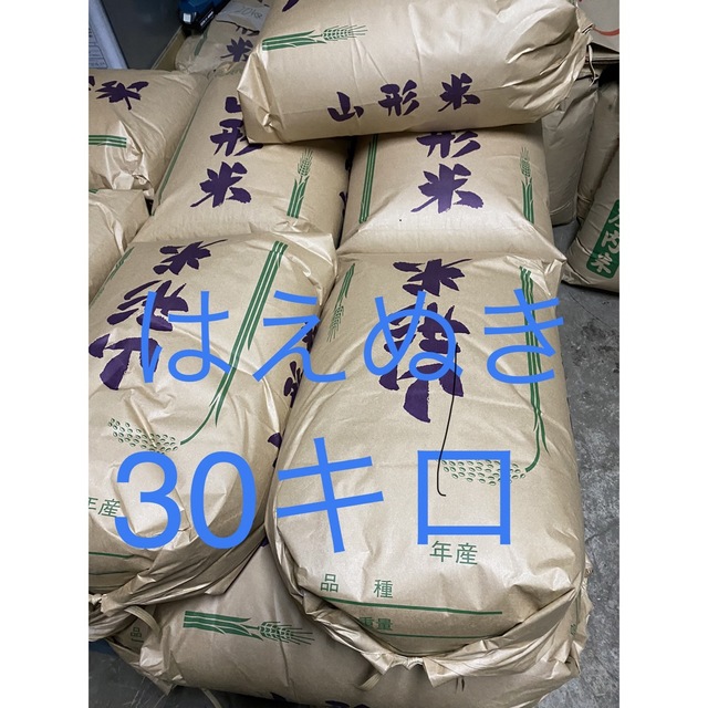 米/穀物精米無料！た山形県産令和4年産はえぬき30キロ玄米精米可能　30kg