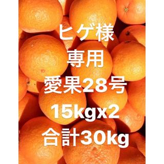 愛媛県産　愛果28号　柑橘　30kg(フルーツ)