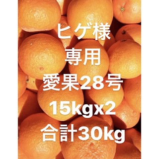 愛媛県産　愛果28号　柑橘　30kg(フルーツ)