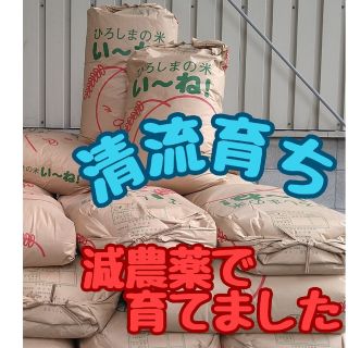 清流育ち 山里米 玄米30kg(令和4年産)✕5袋(米/穀物)