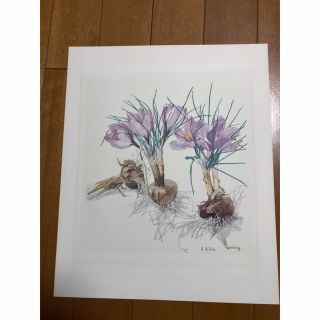 小磯良平 さふらん 高級薬用植物画 版上サイン入りの通販 by うにく