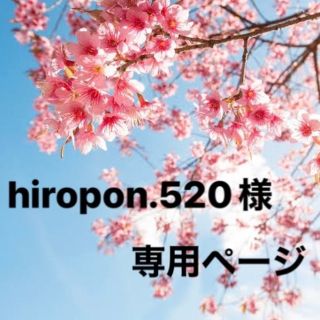 hiropon.520様専用ページです。(その他)