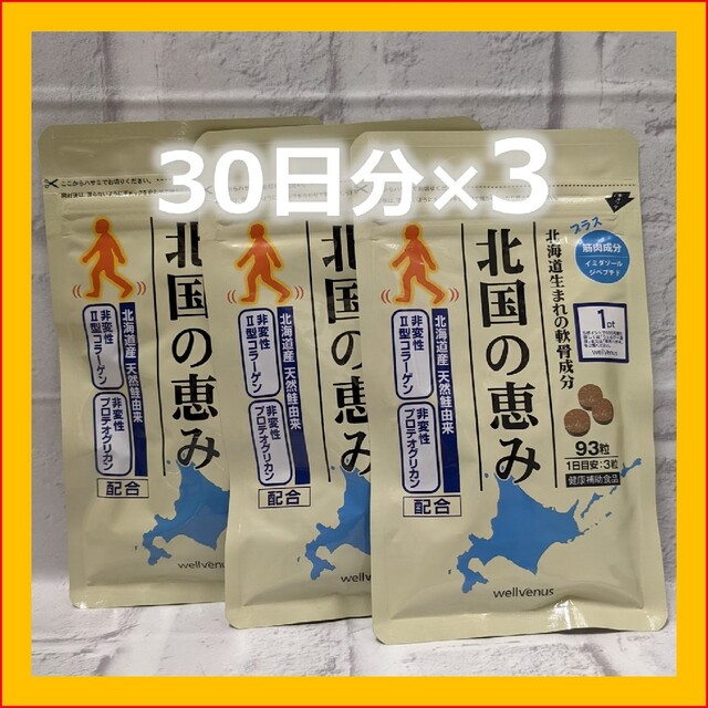 北国の恵み 90日分 30日分*3 3個セット ウェルヴィーナス プロテオ