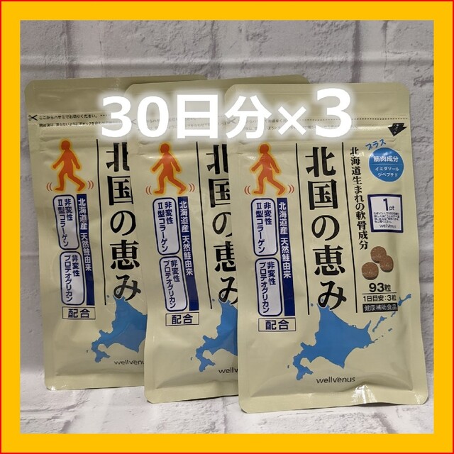 北国の恵み 90日分 30日分*3 3個セット ウェルヴィーナス　プロテオグリカ 食品/飲料/酒の健康食品(その他)の商品写真