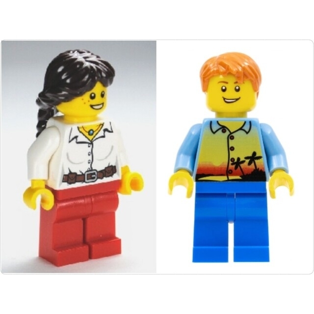 Lego - レゴ☆基本セット サファリ 4637 (箱無し価格)新品 激レアの