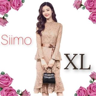 総レース✨膝丈ワンピース✨シアー ワンピース ベルスリーブ 結婚式 二次会 韓国(ひざ丈ワンピース)