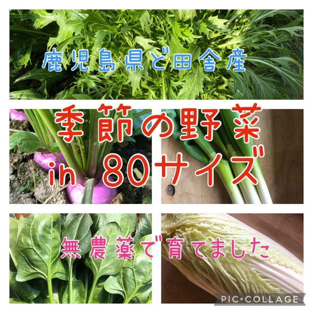 鹿児島県ど田舎産 無農薬野菜詰め合わせ♪80サイズ 食品/飲料/酒の食品(野菜)の商品写真