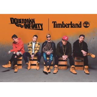 ティンバーランド(Timberland)のDOBERMAN INFINITY×Timberlandコラボ　25.5cm(ブーツ)