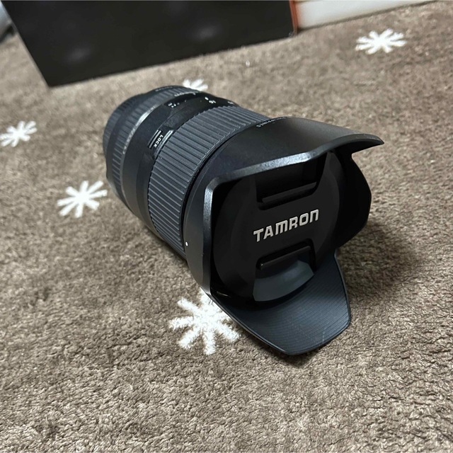 ブラックレンズタイプTAMRON レンズ ニコン用 16-300F3.5-6.3DI2 VC PZD