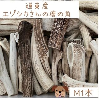 エゾシカさんの鹿の角 Ｍサイズ 1本(犬)