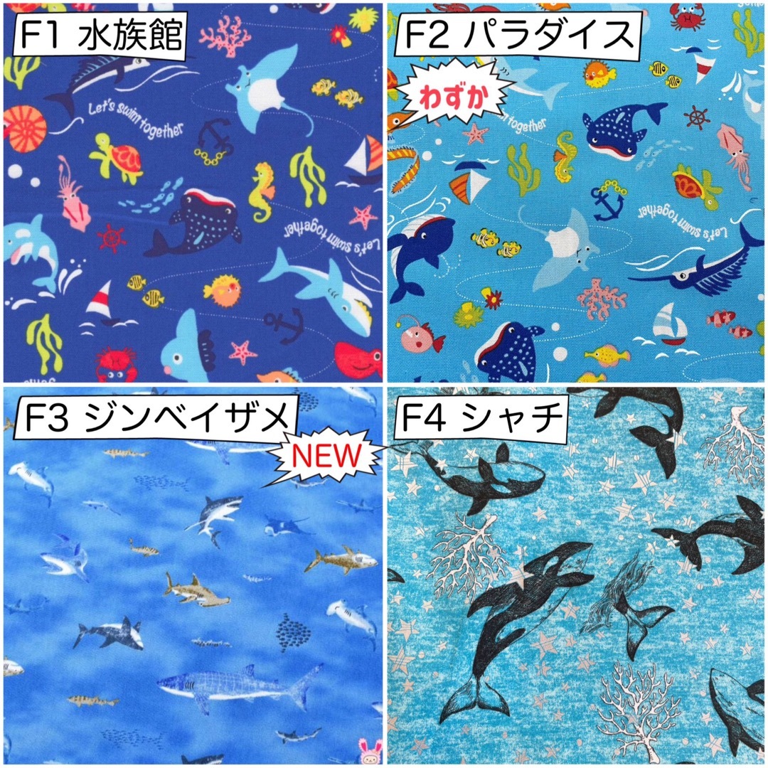 入園 入学 ☆レッスンバッグ　オーダー  受注注文 男の子　《海　魚　シャチ》 ハンドメイドのキッズ/ベビー(バッグ/レッスンバッグ)の商品写真